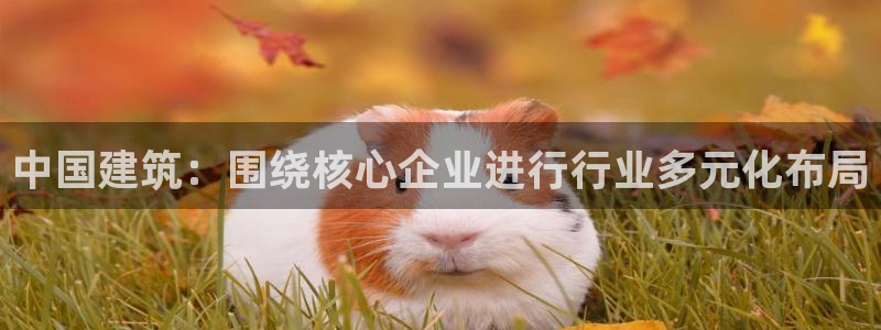 顺盈娱乐主管监判官333OO