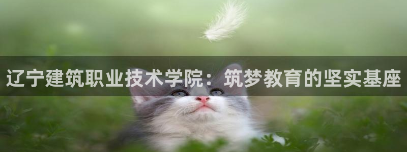 顺盈2娱乐游戏开发商