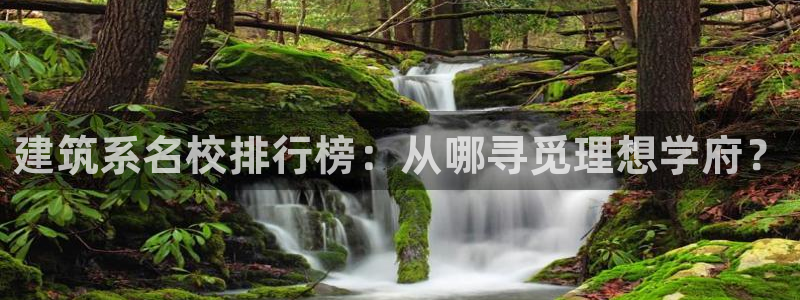 顺盈2娱乐登录平台