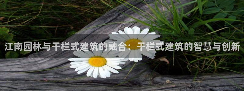 顺盈娱乐最高代理是谁呀