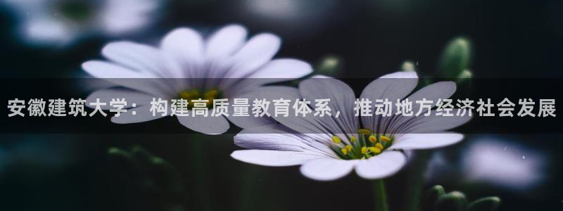 顺盈娱乐主管后原判官333OO