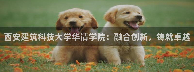 顺盈娱乐李333OO：西安建筑科技大学华清学院：融合创新，铸就卓越