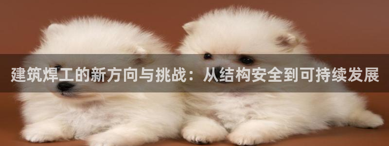 顺盈娱乐棋牌怎么样