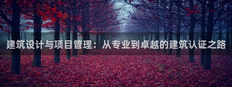 顺盈娱乐总代理是谁