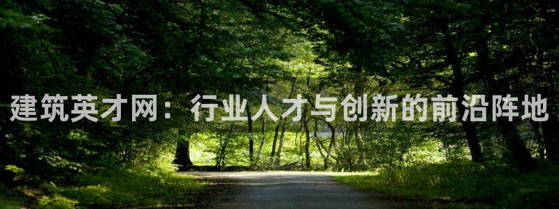 顺盈2娱乐主管是谁：建筑英才网：行业人才与创新的前沿阵地