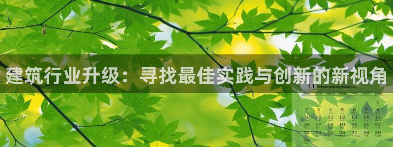 顺盈娱乐找527b.cn升哥：建筑行业升级：寻找最佳实践与创新的新视角