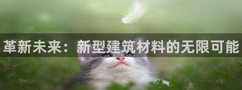 顺盈娱乐注册九判官333OO：革新未来：新型建筑材料的无限可能