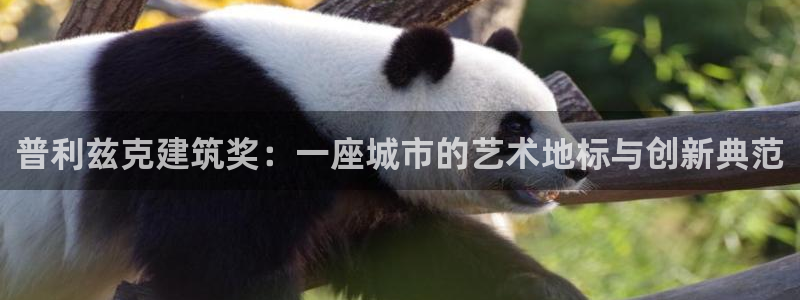 顺盈娱乐在线注册地址：普利兹克建筑奖：一座城市的艺术地标与创新典范