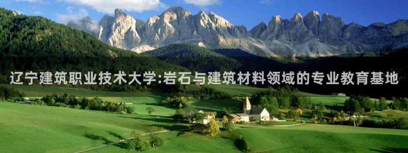 顺盈娱乐官网