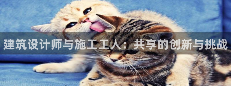 顺盈百威美食娱乐广场：建筑设计师与施工工人：共享的创新与挑战