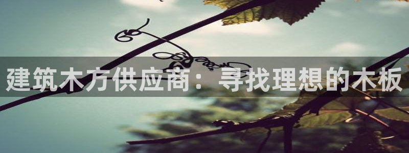 盈顺休闲娱乐室团购券：建筑木方供应商：寻找理想的木板