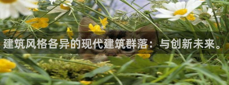 盈顺休闲娱乐室团购活动