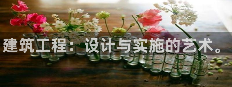 顺盈娱乐招商后原判官333OO