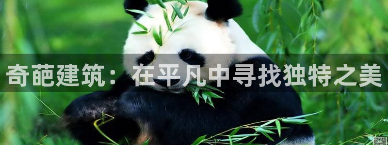 顺盈娱乐是什么