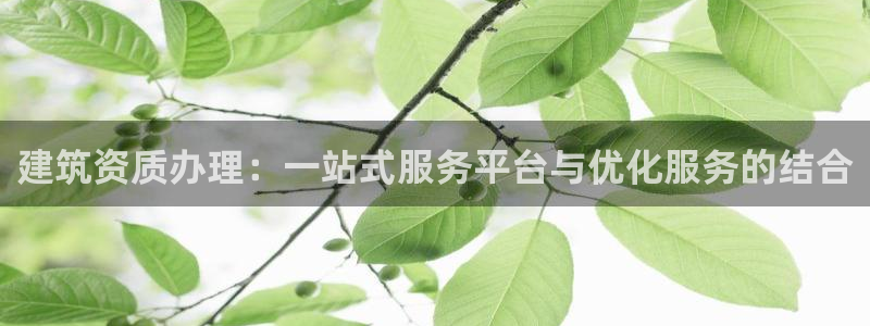 顺盈娱乐在线注册网址：建筑资质办理：一站式服务平台与优化服务的结合