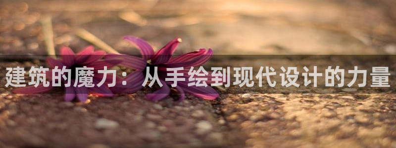 顺盈娱乐指究7276O