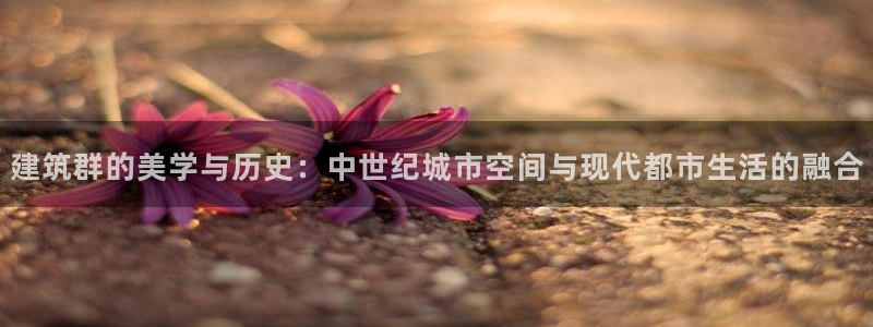 顺盈娱乐招商网判官333OO