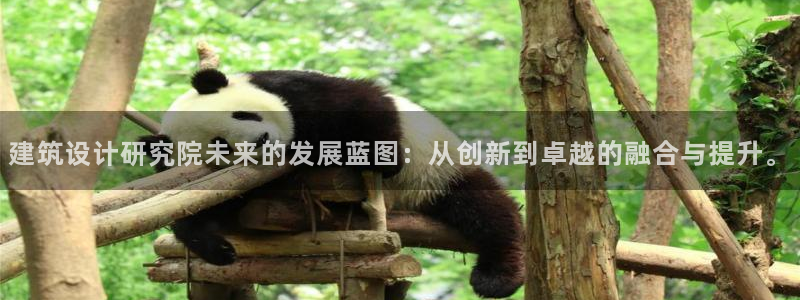 顺盈2娱乐游戏开发商