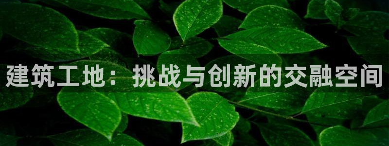 顺盈娱乐平台登录：建筑工地：挑战与创新的交融空间