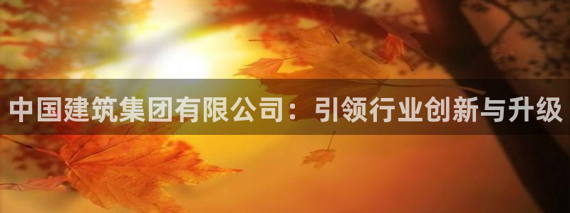 顺盈娱乐平台登录