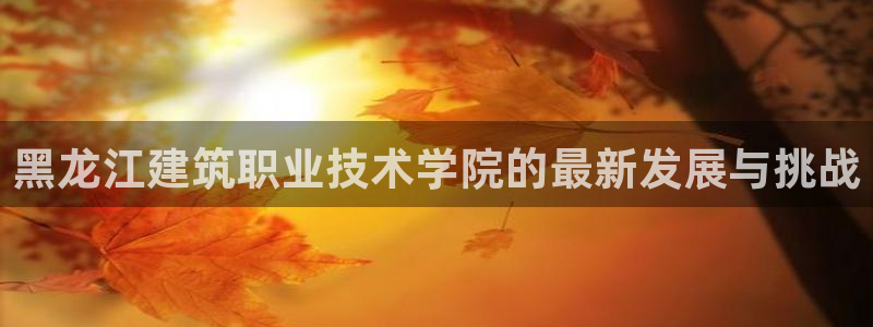 顺盈娱乐代理怎么样