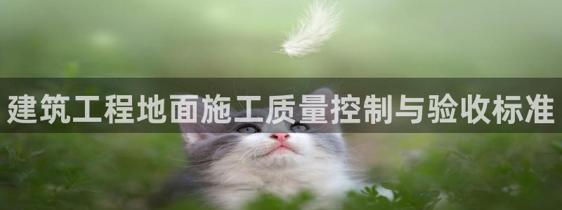 顺盈娱乐登录：建筑工程地面施工质量控制与验收标准
