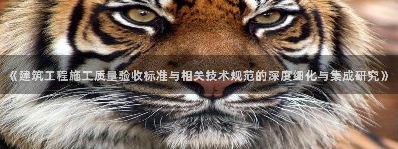 顺盈娱乐招商片判官333OO
