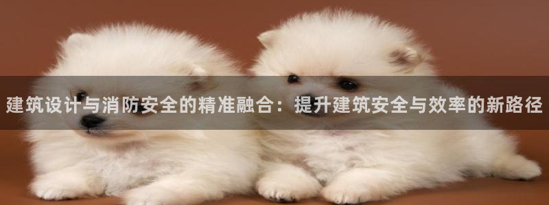 顺盈娱乐游戏开发商